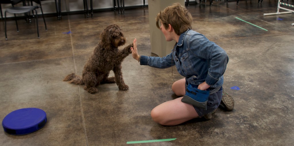Child and dog giving each other a "high five"