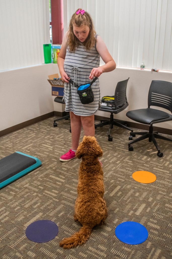 child showing dog treat while dog sits nicely and pays close attention