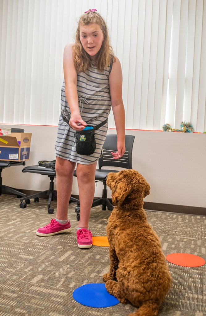 child offering treat to dog during training session