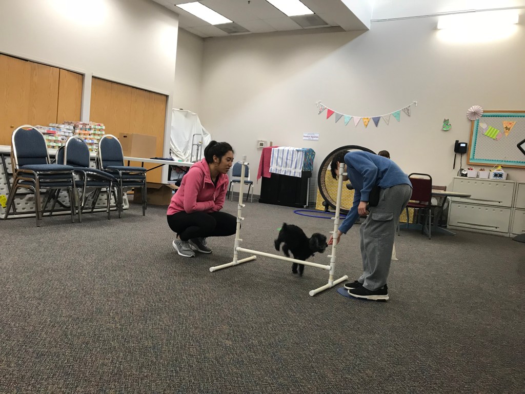 volunteeer and child training small dog to jump over agility jump